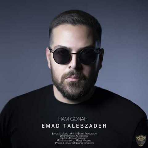 Emad Talebzadeh Hamgonah